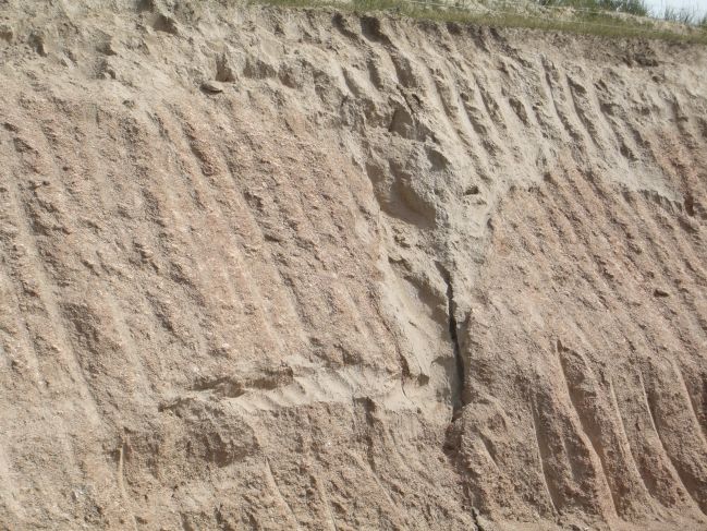  2006:09:12 23:18:27   Ice Wedge Casts in Road Cut on the way to Tianjun - photo 2.jpg
